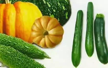 去鹊桥吃瓜,揭秘去鹊桥的神秘吃瓜之旅